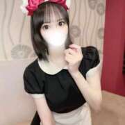 ヒメ日記 2026/08/25 15:30 投稿 りんご アリスカフェ