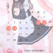 ヒメ日記 2026/08/30 21:02 投稿 りんご アリスカフェ