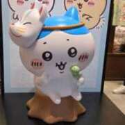 ヒメ日記 2026/09/11 16:00 投稿 りんご アリスカフェ