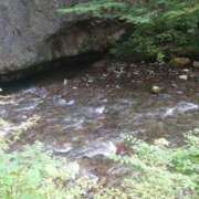 ヒメ日記 2025/08/17 20:10 投稿 ゆき 熟女＆人妻＆ぽっちゃり倶楽部