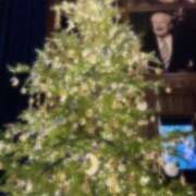 ヒメ日記 2024/12/21 11:20 投稿 あいか Ageha(アゲハ)