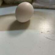 ヒメ日記 2024/12/27 19:20 投稿 あいか Ageha(アゲハ)