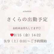 ヒメ日記 2023/09/08 20:09 投稿 さくら チューリップガールズ姫路店