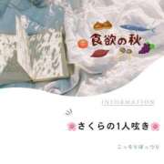 ヒメ日記 2023/11/14 11:25 投稿 さくら チューリップガールズ姫路店