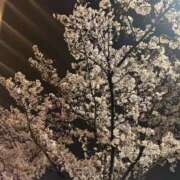 ヒメ日記 2025/04/01 10:44 投稿 まき ニューヨークニューヨーク