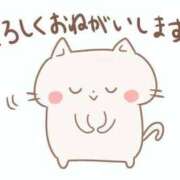 ヒメ日記 2025/10/17 11:03 投稿 まき ニューヨークニューヨーク