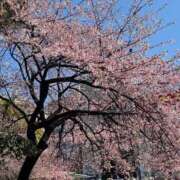 ヒメ日記 2026/03/13 10:50 投稿 まき ニューヨークニューヨーク