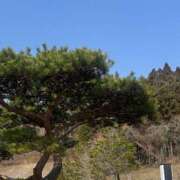 ヒメ日記 2026/03/29 17:35 投稿 まき ニューヨークニューヨーク