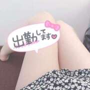 ヒメ日記 2025/02/22 11:18 投稿 しおり 奥様メモリアル