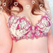 ヒメ日記 2025/02/26 16:34 投稿 しおり 奥様メモリアル