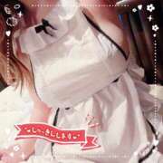 ヒメ日記 2025/04/09 09:18 投稿 しおり 奥様メモリアル