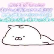 ヒメ日記 2025/04/28 11:18 投稿 しおり 奥様メモリアル