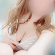 ヒメ日記 2025/07/24 10:22 投稿 しおり 奥様メモリアル