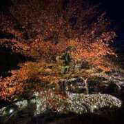 ヒメ日記 2025/11/27 18:22 投稿 さき 甲府人妻隊