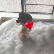 ヒメ日記 2025/02/22 14:05 投稿 りお 若葉