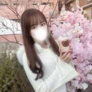 ヒメ日記 2025/05/01 17:35 投稿 りお 若葉