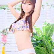 ヒメ日記 2025/05/26 15:08 投稿 りお 若葉