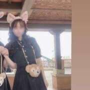 ヒメ日記 2025/06/05 12:05 投稿 りお 若葉