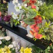 ヒメ日記 2025/09/26 00:50 投稿 りお 若葉