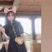 ヒメ日記 2025/11/17 10:55 投稿 りお 若葉