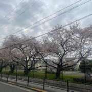 ヒメ日記 2025/04/10 12:42 投稿 森山ひなた 大阪ぽっちゃり妻