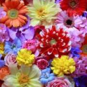 ヒメ日記 2025/02/20 14:22 投稿 美嘉(みか) グランドオペラ横浜