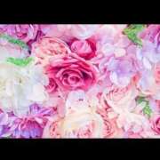 ヒメ日記 2025/03/05 12:28 投稿 美嘉(みか) グランドオペラ横浜