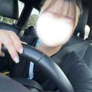 ヒメ日記 2025/10/23 14:11 投稿 もも 千葉松戸ちゃんこ