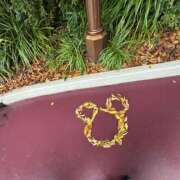 ヒメ日記 2025/10/28 08:42 投稿 もも 千葉松戸ちゃんこ