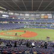 ヒメ日記 2025/10/30 22:53 投稿 もも 千葉松戸ちゃんこ