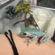 ヒメ日記 2025/11/01 08:47 投稿 もも 千葉松戸ちゃんこ