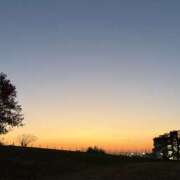 ヒメ日記 2025/11/23 00:06 投稿 もも 千葉松戸ちゃんこ