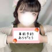 ヒメ日記 2025/11/26 08:50 投稿 もも 千葉松戸ちゃんこ