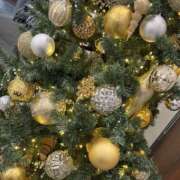 ヒメ日記 2025/11/27 14:27 投稿 もも 千葉松戸ちゃんこ