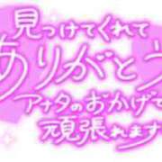 ヒメ日記 2024/02/28 23:19 投稿 さつき 松戸人妻 MAD熟女