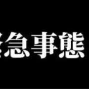 ヒメ日記 2023/09/26 09:58 投稿 志乃（しの） 変態紳士倶楽部大阪店