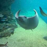 ヒメ日記 2025/07/21 07:27 投稿 みあな 2980円