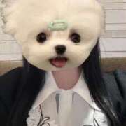 ヒメ日記 2025/03/15 17:08 投稿 みあな ハピネス＆ドリーム福岡