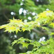 ヒメ日記 2026/05/11 08:21 投稿 黒崎(くろさき) 八王子人妻城