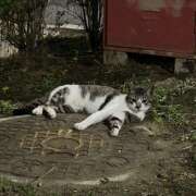 ヒメ日記 2025/06/21 17:58 投稿 せれな Vivienne池袋西口店