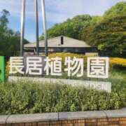 ヒメ日記 2025/05/20 16:50 投稿 みほ 人妻熟女奉仕倶楽部