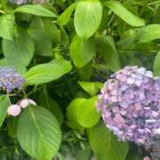 ヒメ日記 2025/07/09 17:27 投稿 ゆうあ 素敵な女の子は好きですか？