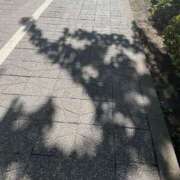 ゆうあ お知らせ👼✴︎ 素敵な女の子は好きですか？