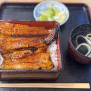 ヒメ日記 2025/01/12 13:29 投稿 けいこ 再婚したい女達