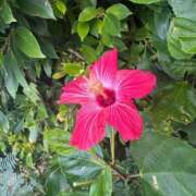 ヒメ日記 2025/02/06 17:29 投稿 けいこ 再婚したい女達