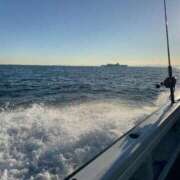 ヒメ日記 2025/03/12 10:29 投稿 けいこ 再婚したい女達