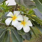 ヒメ日記 2025/08/06 10:19 投稿 けいこ 再婚したい女達