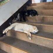 ヒメ日記 2025/11/20 23:49 投稿 けいこ 再婚したい女達