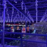 ヒメ日記 2025/12/23 11:39 投稿 けいこ 再婚したい女達