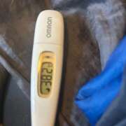 ヒメ日記 2024/12/29 14:58 投稿 土屋 なるみ エテルナ京都